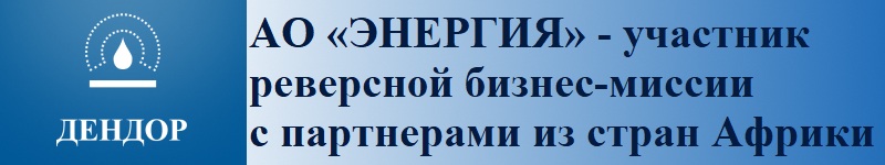 АО «ЭНЕРГИЯ» - участник реверсной бизнес-миссии с партнерами из стран Африки