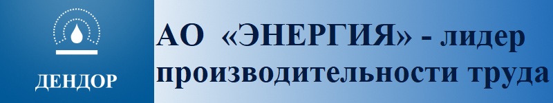 АО «ЭНЕРГИЯ» - лидер производительности труда