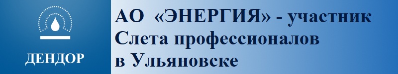 АО «ЭНЕРГИЯ» - участник Слета профессионалов в Ульяновске